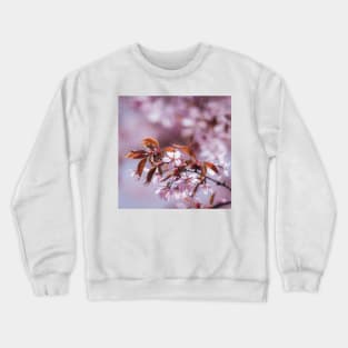 Cherry blossom tree Crewneck Sweatshirt